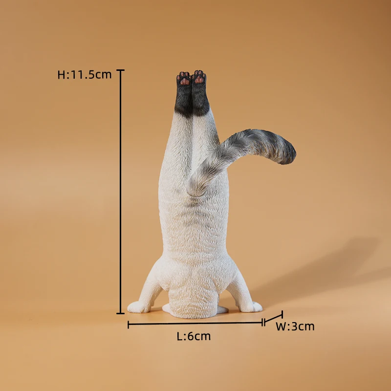 1/6 Model kota do jogi, symula – Yoga Fitness Model recenzja i cena