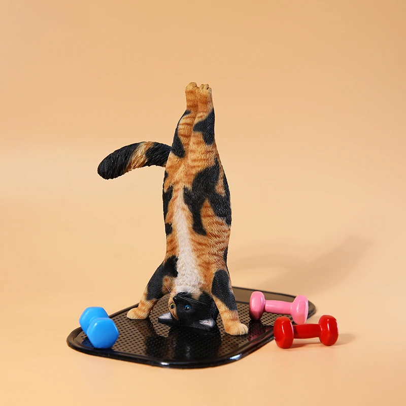 1/6 Model kota do jogi, symula – Yoga Fitness Model recenzja i cena